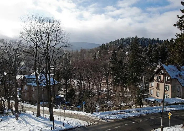 Apartment Zlota Sowa